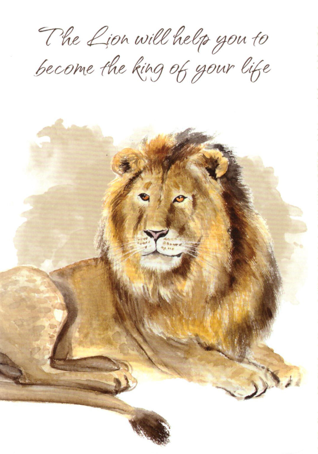 Power Animals Cards